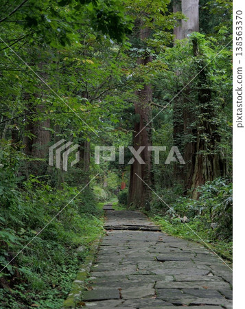 嶄新的綠色鵝卵石路 嶄新的綠色鵝卵石路 138563370