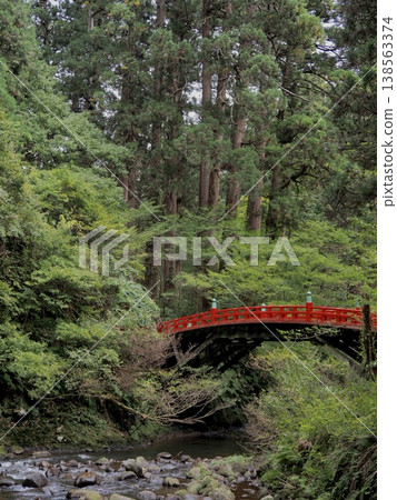 Red bridge in the forest Red bridge in the forest 138563374
