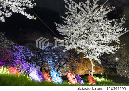 一個關於日本夜晚燈光照耀下的櫻花的故事 一個關於日本夜晚燈光照耀下的櫻花的故事 138563393