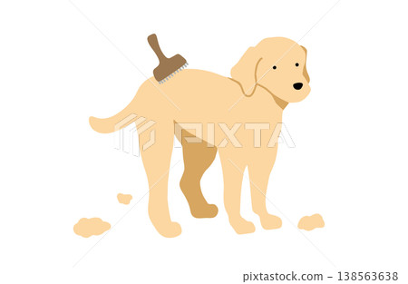 一隻正在梳毛的拉布拉多犬(手繪插圖) 一隻正在梳毛的拉布拉多犬(手繪插圖) 138563638