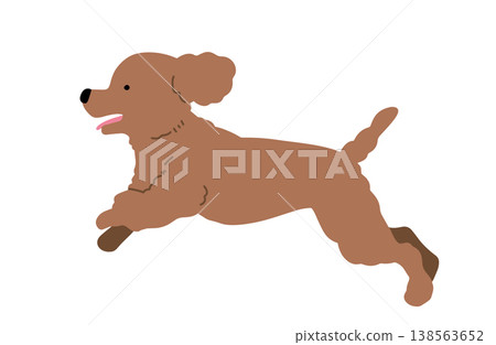 奔跑的玩具貴賓犬(手繪插圖) 奔跑的玩具貴賓犬(手繪插圖) 138563652