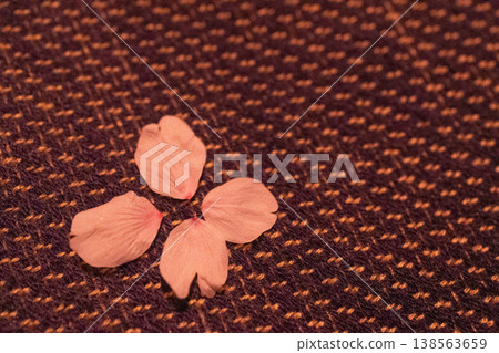 Cherry blossom petals scattered on traditional Japanese textiles: A background image evoking the atmosphere of spring. Cherry blossom petals scattered on traditional Japanese textiles: A background image evoking the atmosphere of spring. 138563659