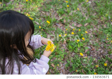 girl picking dandelions 138563671