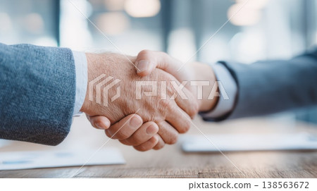 Partners shake hands Partners shake hands 138563672