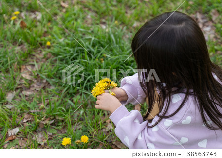 A girl collecting dandelions 138563743