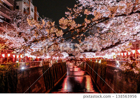 Cherry blossoms in the foreground surround the river; nighttime cherry blossom illumination along the Meguro River (Tokyo) Cherry blossoms in the foreground surround the river; nighttime cherry blossom illumination along the Meguro River (Tokyo) 138563956