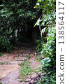 Fresh Stone carved path in tropical forest 138564117