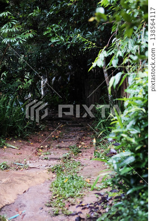 Fresh Stone carved path in tropical forest Fresh Stone carved path in tropical forest 138564117