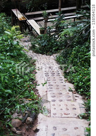 Stone carved path of stairway in tropical forest 138564118