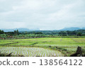 Beautiful green rice field with mountain range and fog in rainy day and rain season in tropical nature of Thailand 138564122