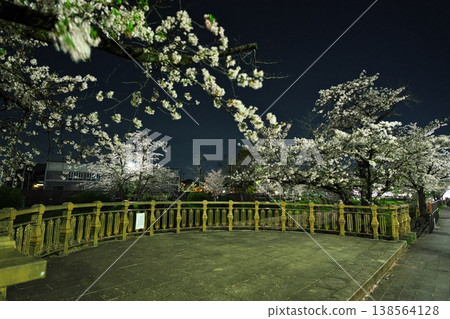 Cherry blossoms in full bloom at night along the Yamazaki River Four Seasons Path Cherry blossoms in full bloom at night along the Yamazaki River Four Seasons Path 138564128
