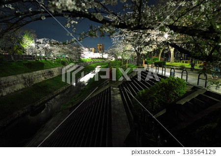 Cherry blossoms in full bloom at night along the Yamazaki River Four Seasons Path Cherry blossoms in full bloom at night along the Yamazaki River Four Seasons Path 138564129