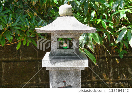 草津溫泉、白根神社（群馬縣吾妻郡草津町） 138564142