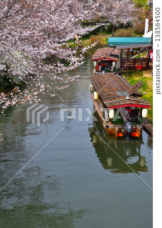 Spring, cherry blossoms, Kyoto, Uji River tributary, Jikkoku boat Spring, cherry blossoms, Kyoto, Uji River tributary, Jikkoku boat 138564500