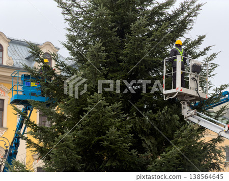 City workers on aerial platforms expertly decorate a towering public Christmas tree, installing vibrant string lights for festive holiday season celebrations 138564645