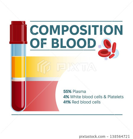 Composition of blood infographic vector illustration. Laboratory test tube and kinds of blood cells, plasma, platelets, white blood cells and red blood cells percentage. Composition of blood infographic vector illustration. Laboratory test tube and kinds of blood cells, plasma, platelets, white blood cells and red blood cells percentage. 138564721