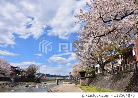 Takayama City, Gifu Prefecture - Cherry blossoms in full bloom and a beautiful blue sky, the large torii gate of Sakurayama Hachiman Shrine and Miyamae Bridge, the Miyagawa River flowing through the city, and the surrounding streets Takayama City, Gifu Prefecture - Cherry blossoms in full bloom and a beautiful blue sky, the large torii gate of Sakurayama Hachiman Shrine and Miyamae Bridge, the Miyagawa River flowing through the city, and the surrounding streets 138564876