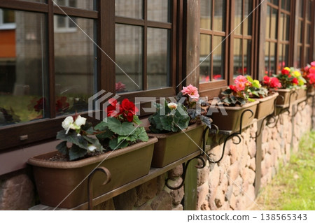 Vivid botanical displays increase visual appeal of stone edifices swiftly 138565343