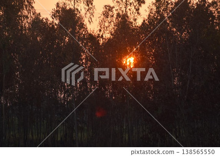 landscape of sun falling behind tree in sunset with orange twilight sky 138565550
