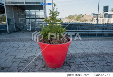 Large red flower pot with small evergreen tree in urban space modern city landscaping concept Large red flower pot with small evergreen tree in urban space modern city landscaping concept 138565757