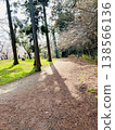櫻花樹和春日公路風景（背景素材） 138566136