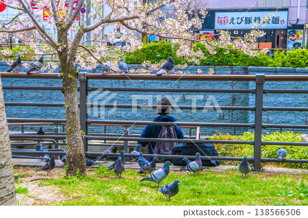 A glimpse of the cityscape of Tokyo, Japan: Pigeons gathered beside a rest area in Oshinari Park. They gathered around my hand in my bag... but tragedy soon followed. A glimpse of the cityscape of Tokyo, Japan: Pigeons gathered beside a rest area in Oshinari Park. They gathered around my hand in my bag... but tragedy soon followed. 138566506