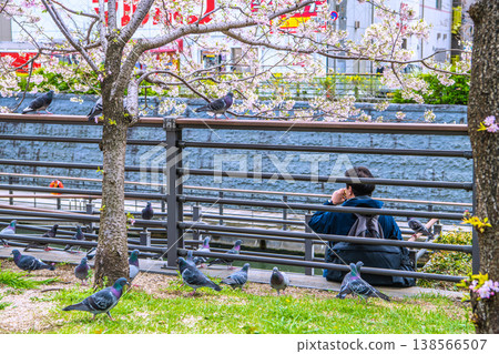 A glimpse of the cityscape of Tokyo, Japan: Pigeons gathered beside a rest area in Oshinari Park. They gathered around my hand in my bag... but tragedy soon followed. A glimpse of the cityscape of Tokyo, Japan: Pigeons gathered beside a rest area in Oshinari Park. They gathered around my hand in my bag... but tragedy soon followed. 138566507