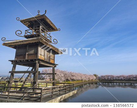 彌生時代的亭台樓閣在藍天的襯托下格外醒目，而永恆的春天則被櫻花裝點得美輪美奐。 138566572