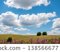 Scenery of blue sky and flower garden 138566677