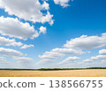 A landscape of blue skies and rippling rice fields. 138566755
