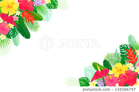 Translucent frame of tropical plants 1_horizontal Translucent frame of tropical plants 1_horizontal 138566797