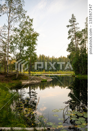 Sunset over forest lake with reflections and trees in peaceful nature landscape wilderness scenic view Sunset over forest lake with reflections and trees in peaceful nature landscape wilderness scenic view 138567147