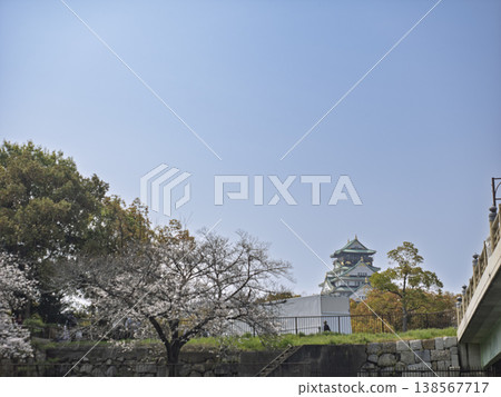 Spring is in full bloom! The spectacular cherry blossoms at Osaka Castle 138567717