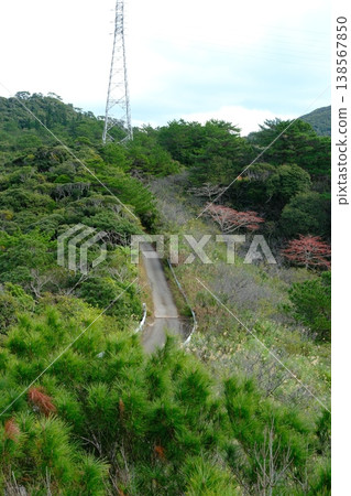 Road surrounded by nature Road surrounded by nature 138567850