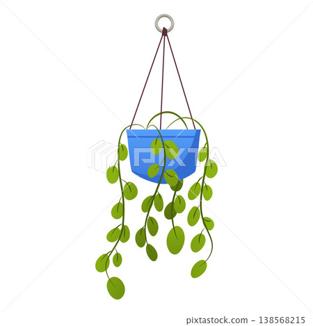 Green plants growing in hanging blue pot, vector flat houseplant hang on knitted rope, floral interior design element 138568215