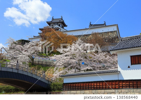 【京都】福知山城櫻花盛開 【京都】福知山城櫻花盛開 138568440