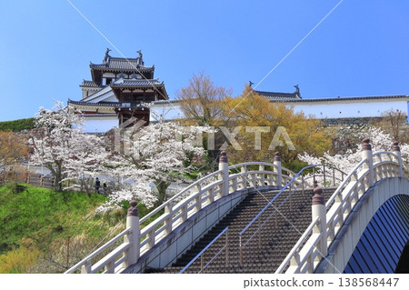 [Kyoto Prefecture] Fukuchiyama Castle and Shoryu Bridge with cherry blossoms in full bloom 138568447