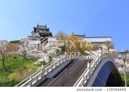 [Kyoto Prefecture] Fukuchiyama Castle and Shoryu Bridge with cherry blossoms in full bloom 138568448