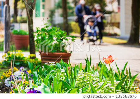 住宅區景象:一條住宅街道,兩旁種滿了花壇。 住宅區景象:一條住宅街道,兩旁種滿了花壇。 138568676