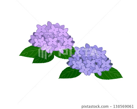 Hydrangea, cute illustration Hydrangea, cute illustration 138569061