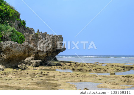 Okinawa's reefs and sea 138569311