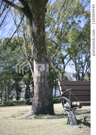 美城公園草坪上樹蔭下的長椅 138569440