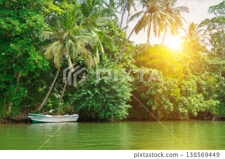 Tropical river landscape with white boat and palm trees Tropical river landscape with white boat and palm trees 138569449