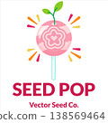 Peach Seed Pop Lollipop Candy Vector with Sprout Leaves Flat Design 138569464