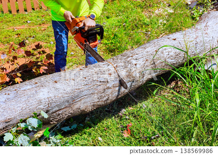 Contractor is using chainsaw to cut large log in backyard while weeds after strong wind Contractor is using chainsaw to cut large log in backyard while weeds after strong wind 138569986
