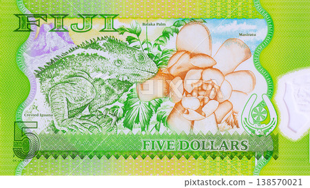 Five dollar cash banknote from Fiji issue Reserve Bank of Fiji back side Five dollar cash banknote from Fiji issue Reserve Bank of Fiji back side 138570021
