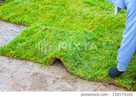 Worker bends down carefully places piece of sod on ground worker is in residential yard, preparing area for new lawn. 138570102