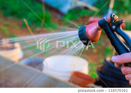 Home worker holds hose waters plants in garden while sunlight shines on green grass 138570161