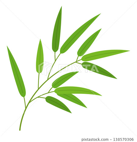 竹枝和竹葉 竹枝和竹葉 138570306