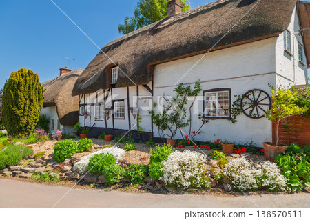 Traditional english thatched cottage with plant decoration Traditional english thatched cottage with plant decoration 138570511